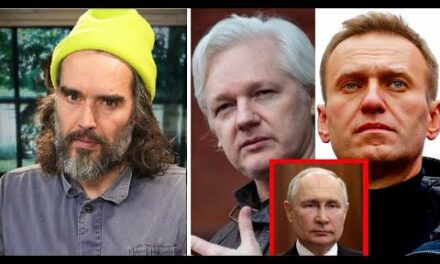 They’re LYING About Alexei Navalny & Julian Assange