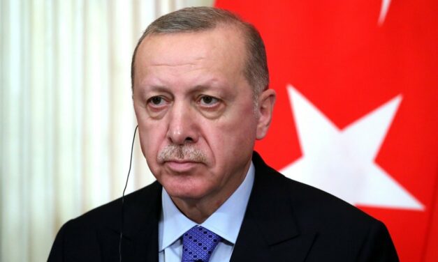 Is Hakan Fidan Seeking U.S. endorsement to Succeed Erdogan?