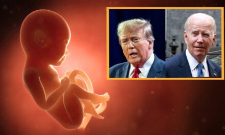Unborn Babies Begin Considering Third Party Candidates