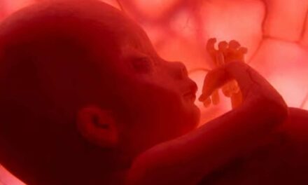 Unborn Babies Warn Of Political Implications If They’re Allowed To Live