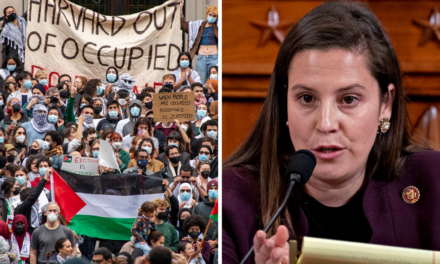 Elise Stefanik Says Harvard Siding With ‘Those Who Hate Jewish Students’ In Scathing Letter