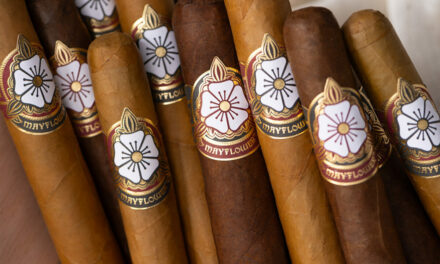 Don’t Miss Out On Greatness: Mayflower Cigars’ Top Item Is Back In Stock
