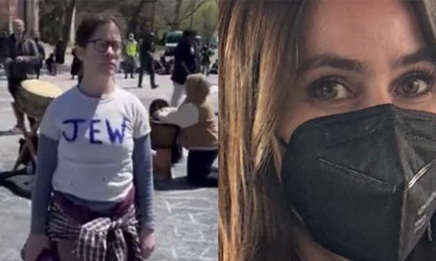 Taylor Lorenz attacks Jewish man bragging about his wife not wearing a mask in front of protestors, COMPLETELY misses the point