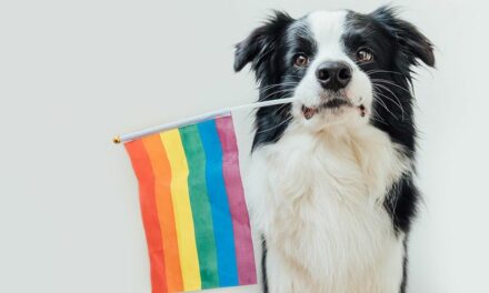 Queer publication makes the case for “Tranimals,” aka trans animals,  and their reasoning is even worse than you think
