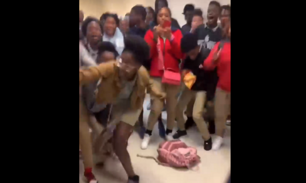 Parents Are Furious That A School Officer Had To Use Pepper Spray To Break Up A Fight Caught On Video