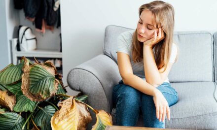 Wife Somehow Manages To Kill Fake Plant