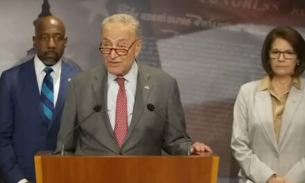 Democrats Promise There’s No Way A Person Who Entered The Country Illegally Would Ever Vote Illegally