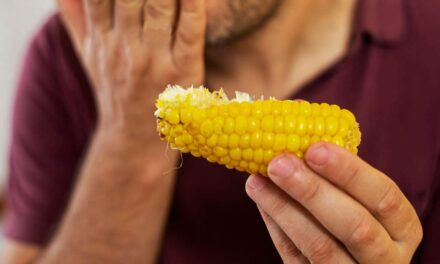 Man Commits Barbeque Faux Pas By Eating Corn On The Cob Without Saying ‘Mmmm, This Is Good Corn’