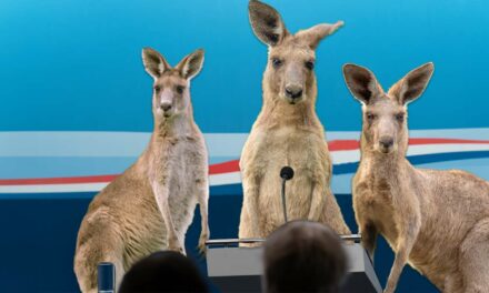 Kangaroos Ask People To Stop Unfairly Comparing Them To U.S. Justice System