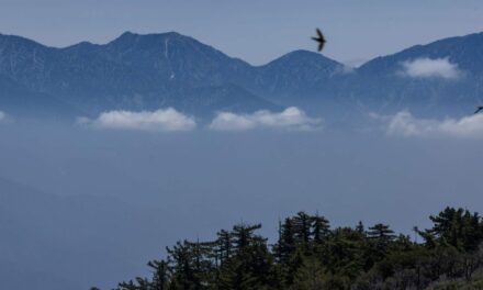 Biden to expand two California national monuments Thursday