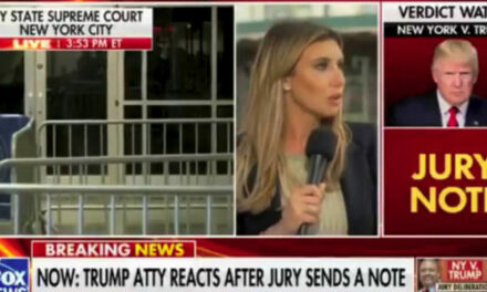 WATCH: Trump attorney goes after Shannon Bream for disputing this is a ‘Biden trial’
