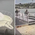 BREAKING VIDEO: Boat full of illegals unloads at another beach in California