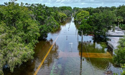 Sen. Whitehouse: Climate change could crash the financial system