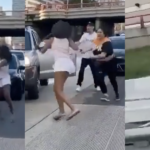 “Get her!”: Woman brings traffic to a halt starting a fight, then tries running away before eating pavement
