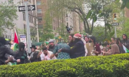 [VIDEO] – ‘Peaceful’ pro-Hamas protesters outside the Met Gala are now fighting Jews in the street
