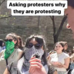 WATCH: TikToker asks pro-Hamas protesters in New York City why they are protesting