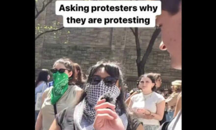 WATCH: TikToker asks pro-Hamas protesters in New York City why they are protesting