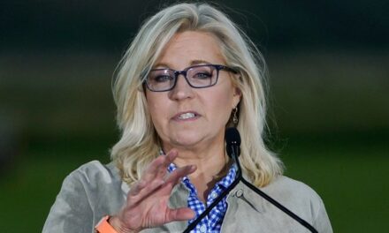 Liz Cheney Sucking Up to Taylor Swift in Order to Dunk on Trump’s ‘Crowd Size’ BLOWS UP in Her Smug Face