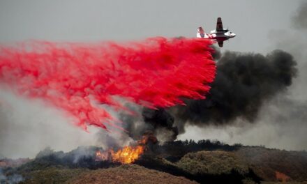 California Wildfire Season is Here