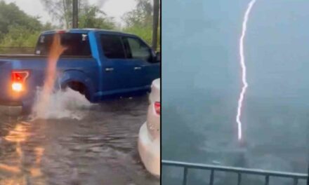 Footage of insane flooding shows Miami after freak storm