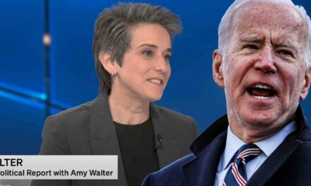 Pollster Amy Brown from the Cook Political Report says 18% of Biden swing state voters in 2020 are no longer supporting the president in 2024