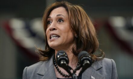 NOT Satire (Should Be): Check Out Memo Being Circulated by Dem Party Operatives ‘Making Case for Kamala’