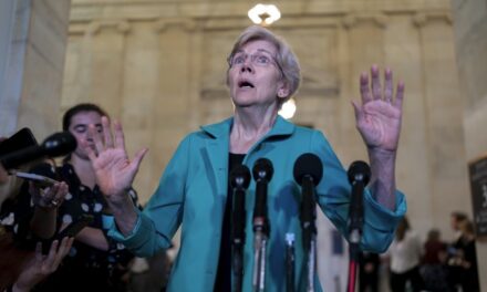 Ludicrous: Elizabeth Warren Believes It’s a Good Idea to Push for Higher Taxes During Election Season