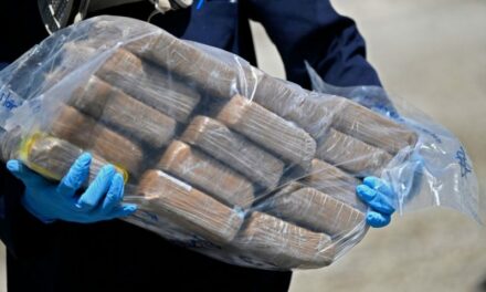 El Salvador Seizes 1 Ton Of Cocaine At Sea, Worth $25M