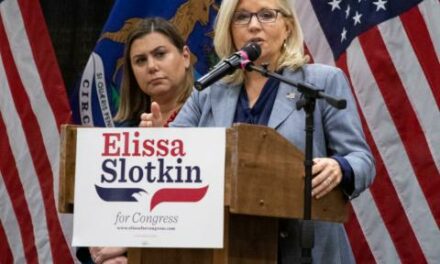 China a potential issue in Michigan Senate race between Mike Rogers and Elissa Slotkin