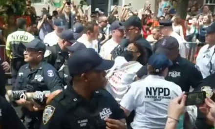 Anti-Israel agitators destroy floats at New York Pride parade, block parade route