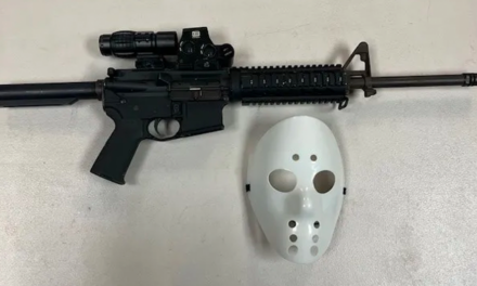 Driver wearing ‘Jason’ mask arrested on illegal assault rifle charge in California: PD