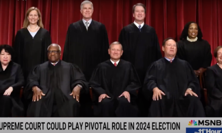 The Supreme Court Is Not Going To Save You
