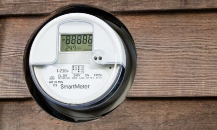 Smart meter REFUGEES in New Mexico try to stop the technology from entering the state, citing human health and wildlife impacts