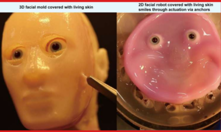 Japanese Scientists Create Smiling Robot Using ‘Living’ Skin