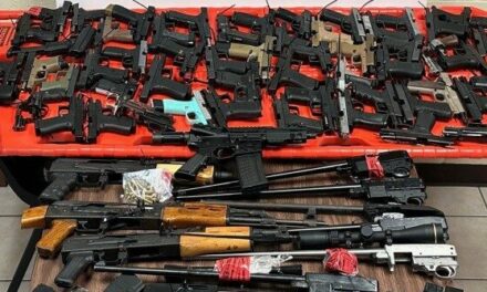 Cartel-Destined Weapons Cache Seized at Texas Border with Mexico