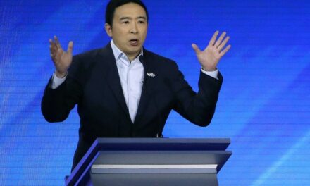 Andrew Yang Is Either Smoking Something or Working to Get Back Into the Dem Party’s Good Graces