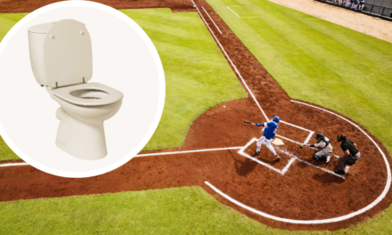 For $16, You Can Sit On A Toilet At A Minor League Baseball Game