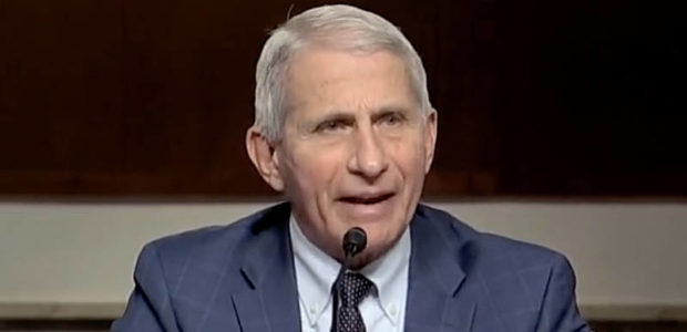 WATCH LIVE: Anthony Fauci to get grilled before the House Oversight Committee at 10AM