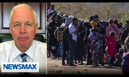 Sen. Johnson: Open-border policy is a clear and present danger
