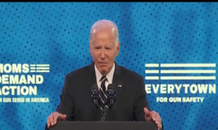 Hours after his son was convicted of gun crimes, Joe Biden gives another clueless gun control speech
