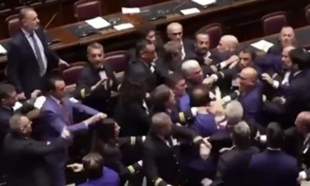 Watch: Wild brawl breaks out in Parliament, one member needed to be rolled away in a wheelchair