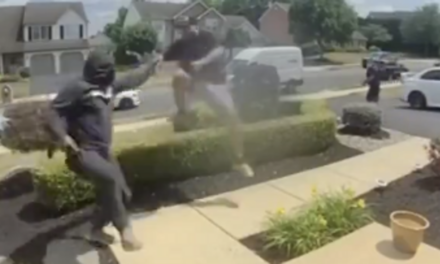 Watch: Insane scene shows rival porch pirates roll up, fight over stealing the same package