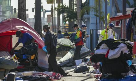 Hollywood business owners install planters to keep out homeless tents and promise to defy city order to remove them