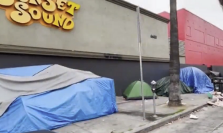 Watch: Business owners planted flowers to block homeless encampments, so of course LA tore them down
