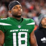 ‘Lucky to be alive’: Tesla charger sets home of NFL player Randall Cobb ablaze as his wife, 3 children, and dog escape