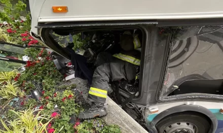 At Least 11 Injured In Seattle Bus Crash