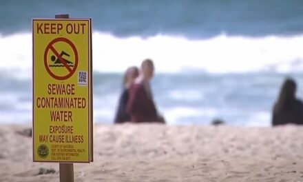 Calif. beaches warn ‘sewage contaminated water’ amid heat wave: ‘The level of stress when you smell the stench…’