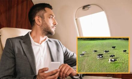 Liberal In Private Jet Upset As He Looks Down And Sees All The Cows Causing Climate Change