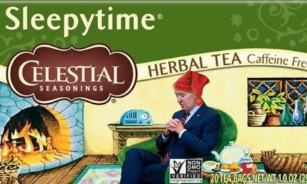 Biden Solves Fundraising Woes By Becoming New Mascot For Sleepytime Tea