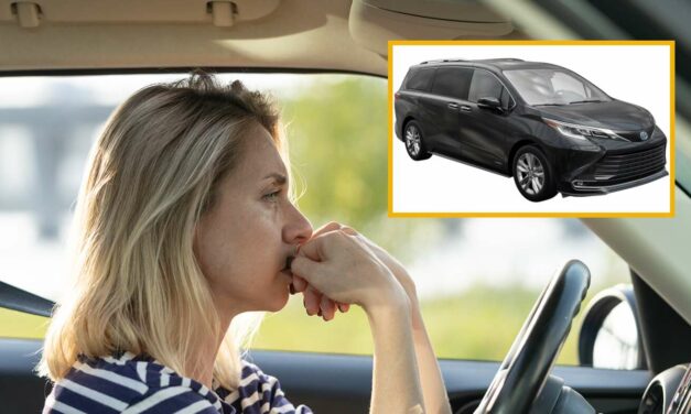 Woman With Five Kids Worried Driving A Minivan Will Make Her Look Like A Mom